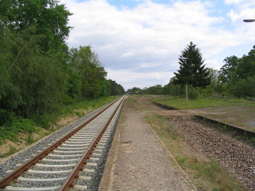 Eine eingleisige Bahnstrecke mit verwaistem Bahnsteig, links Wald