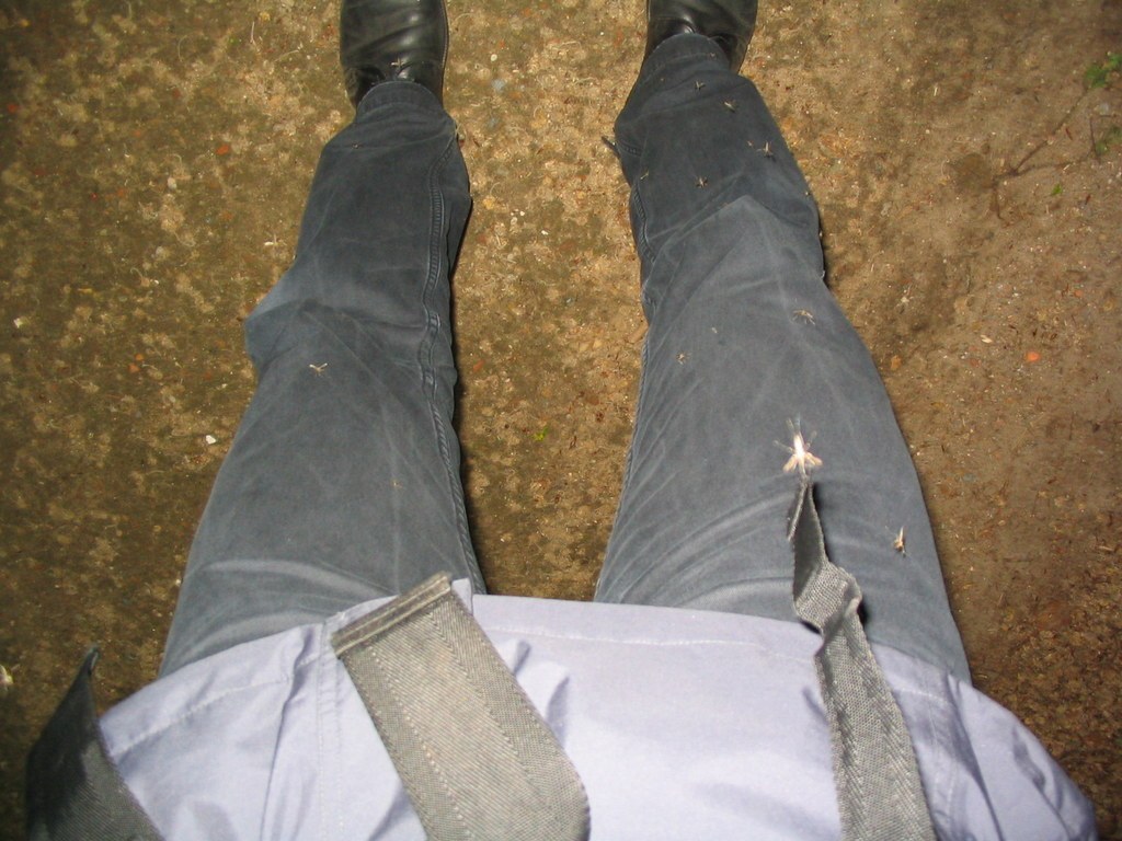 Blick von oben auf die eigenen Beine in grauer Hose auf Waldboden, auf der Hose sitzen Mücken