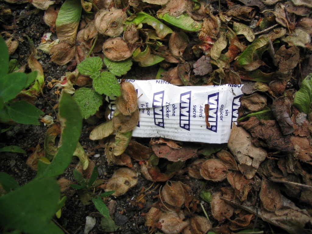 Ein weggeworfenes Vivil-Papier mit der Aufschrift „sans sucre“ zwischen Laub am Wegrand